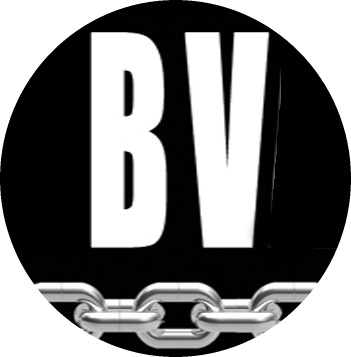 Beyond Vanilla logo